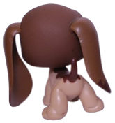#0665 Basset Hound